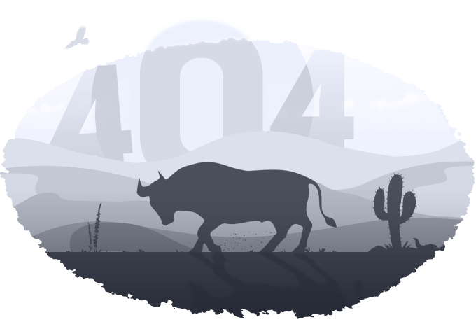 404