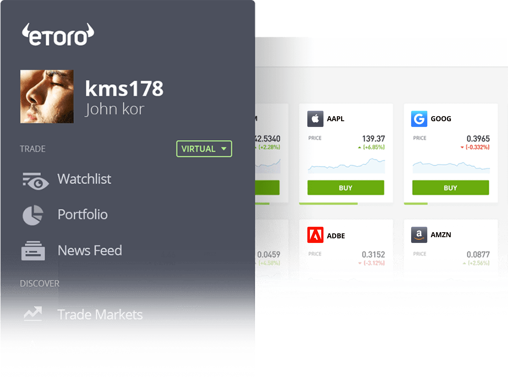 Virtual portfolio