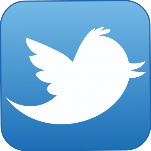 Logo Twitter