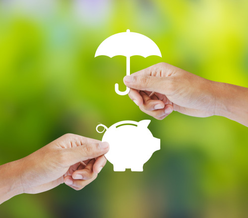 protect investment