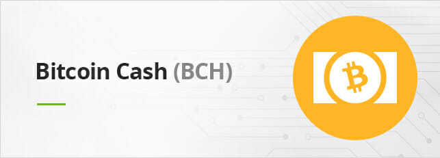 Bitcoin Cash (BCH)