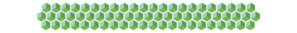 The network randomly selects a few nodes