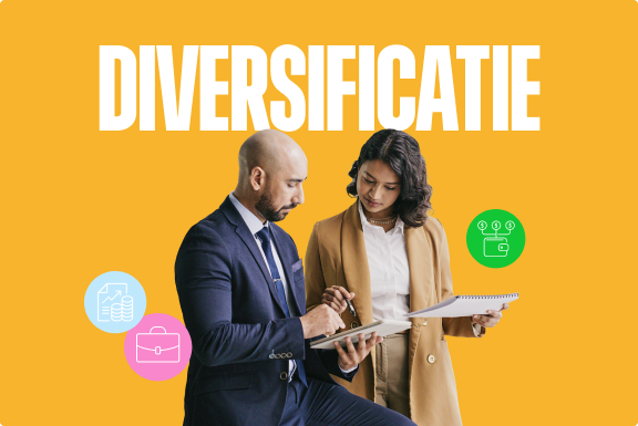Wat is een gediversifieerd portfolio?