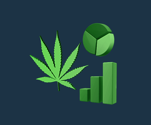 Top 5 des action marijuana les plus populaires à surveiller en 2022