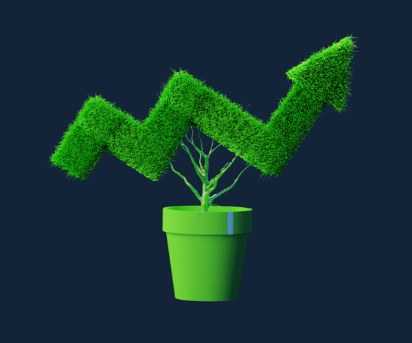 La guía completa del value investing