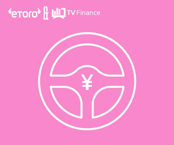Le Smart Portfolio ChinaCar