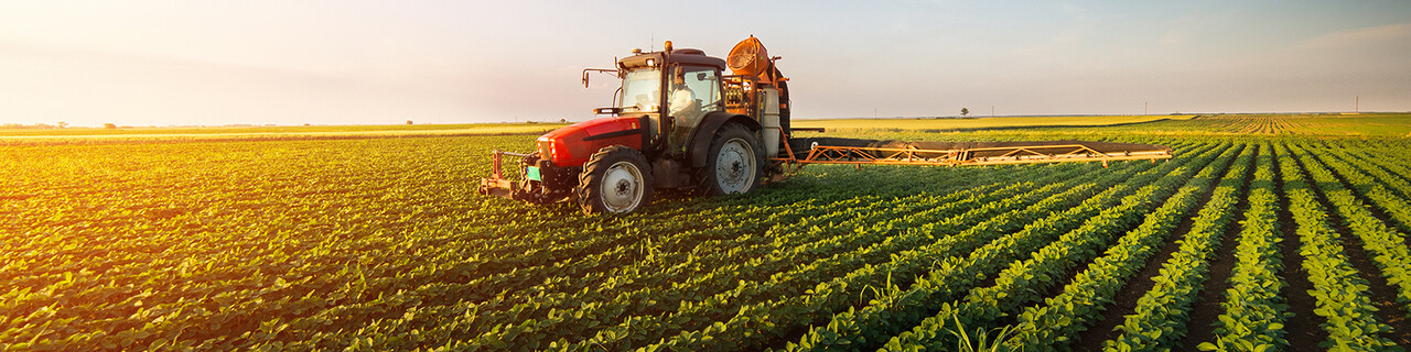 Investire nell’agricoltura: come capitalizzare la crescente domanda mondiale di cibo