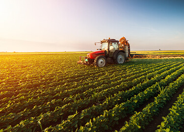 Investire nell’agricoltura: come capitalizzare la crescente domanda mondiale di cibo