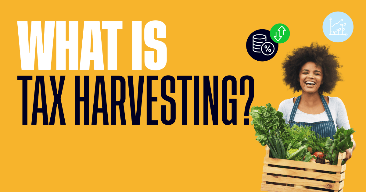 complete-guide-to-tax-loss-tax-gain-harvesting-etoro