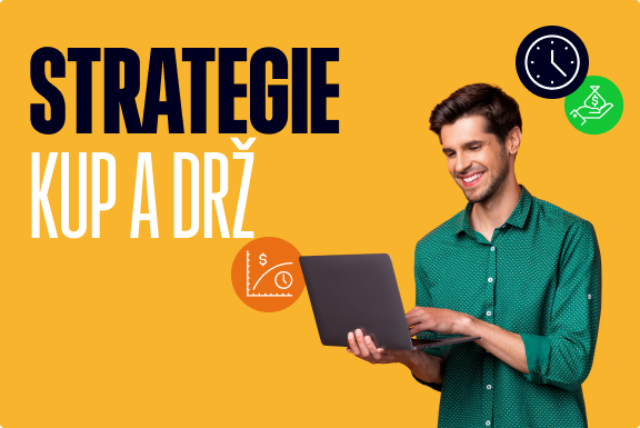 Využití investiční strategie kup a drž