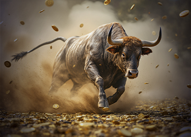 6 Lý Do Tại Sao Đợt Tăng Giá Bitcoin Này Có Thể Kết Thúc Theo Cách Khác