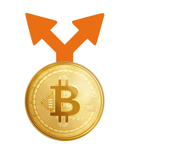 ¿QUÉ SON LAS BIFURCACIONES O FORKS?