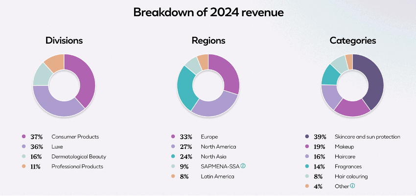 2024 Revenue Breakdown