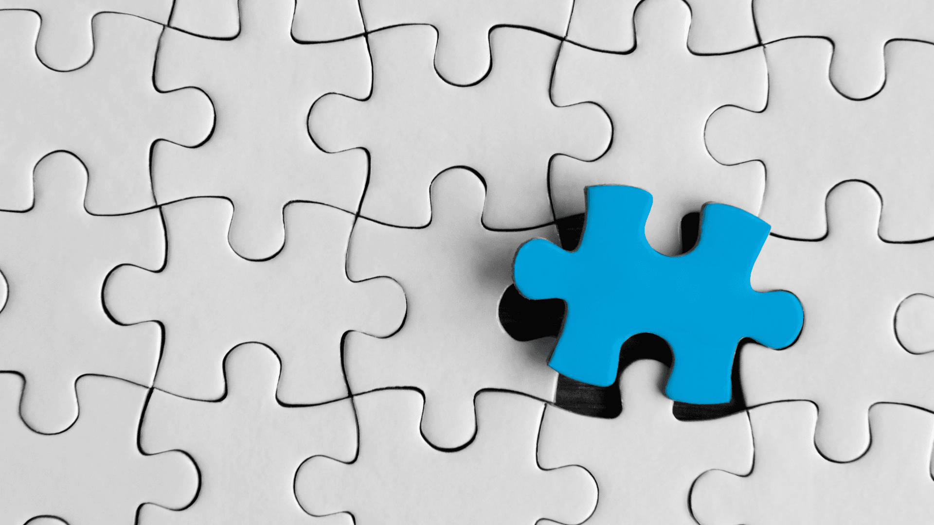 Xero Bets Big on Its Future