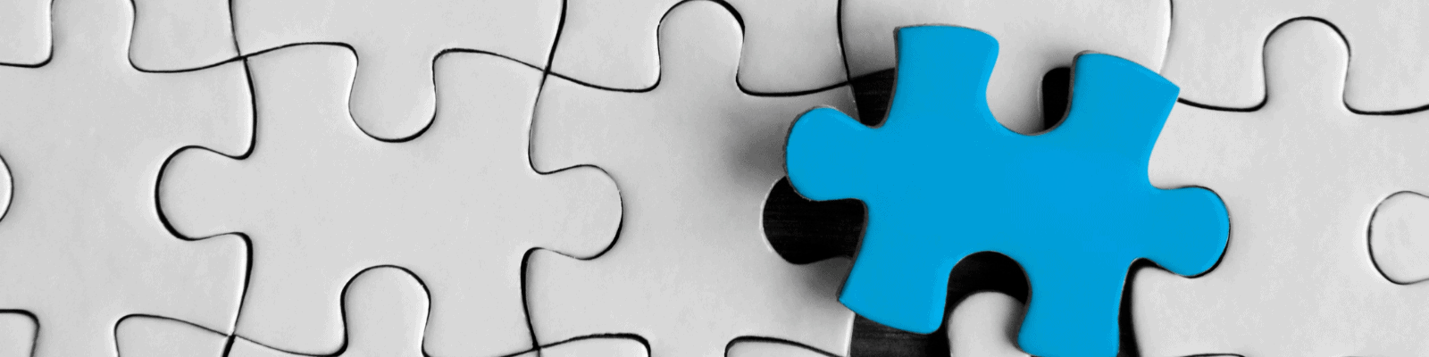 Xero Bets Big on Its Future